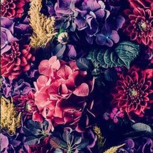 Meet your Posher, Edna